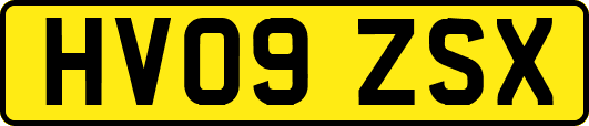 HV09ZSX