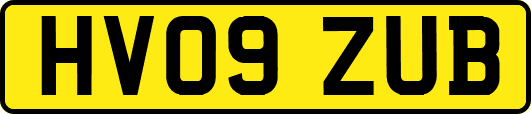 HV09ZUB