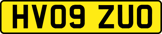 HV09ZUO