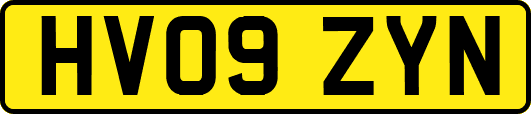HV09ZYN
