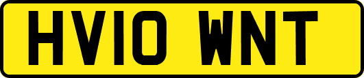 HV10WNT