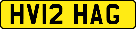 HV12HAG