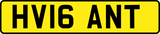 HV16ANT