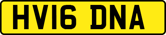 HV16DNA