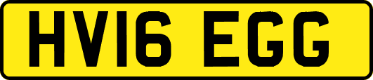 HV16EGG