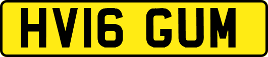 HV16GUM