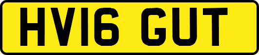 HV16GUT