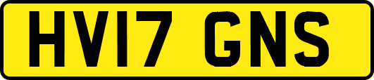 HV17GNS