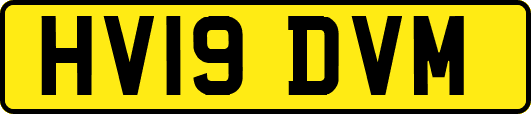 HV19DVM