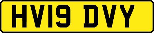 HV19DVY
