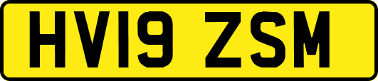 HV19ZSM