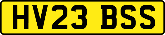 HV23BSS