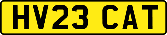 HV23CAT