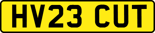 HV23CUT