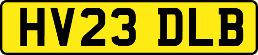 HV23DLB