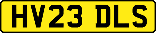 HV23DLS