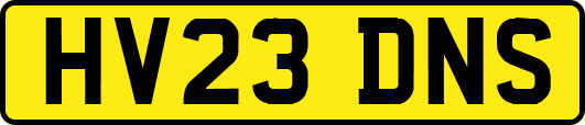 HV23DNS