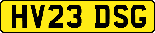 HV23DSG