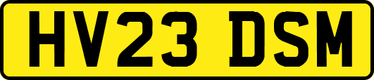 HV23DSM