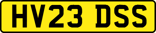 HV23DSS