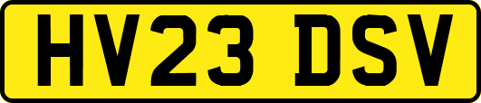 HV23DSV