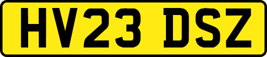 HV23DSZ