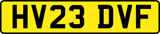 HV23DVF