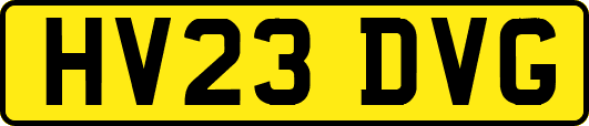 HV23DVG