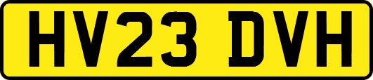 HV23DVH