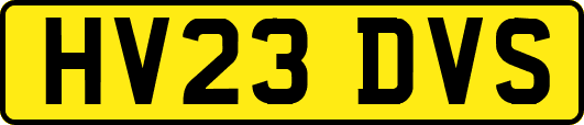 HV23DVS