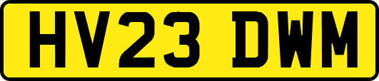 HV23DWM