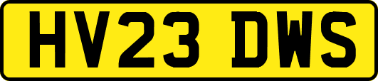 HV23DWS