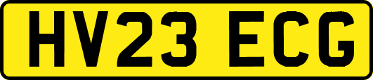 HV23ECG