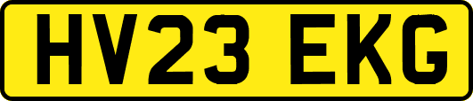 HV23EKG