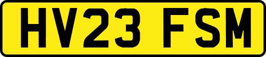 HV23FSM