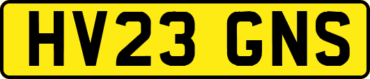 HV23GNS