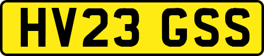 HV23GSS