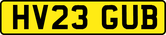 HV23GUB