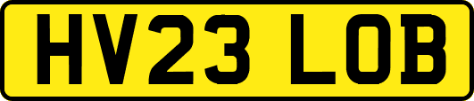 HV23LOB