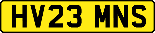 HV23MNS