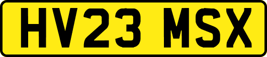 HV23MSX