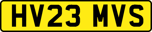 HV23MVS