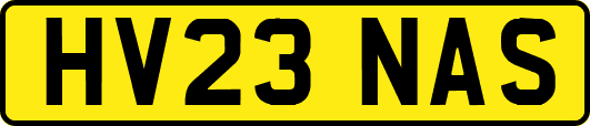 HV23NAS