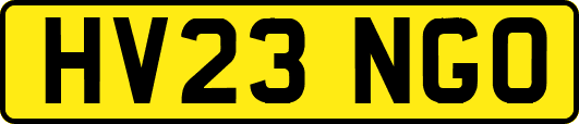 HV23NGO