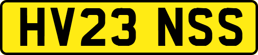 HV23NSS