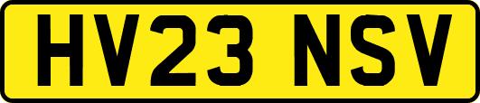 HV23NSV