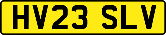 HV23SLV