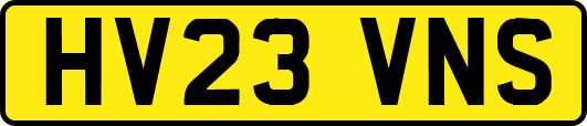 HV23VNS
