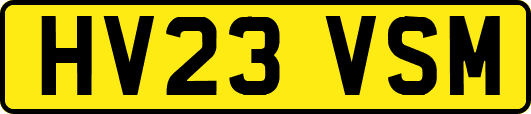 HV23VSM