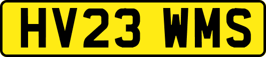 HV23WMS